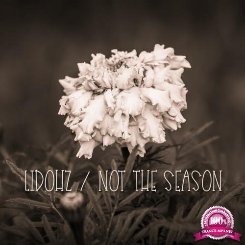 LidoHZ - Not The Reason (2019)