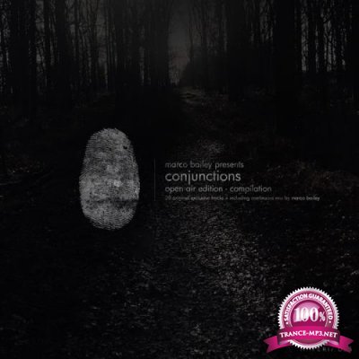 Conjunctions (Open Air Edition) (2019)