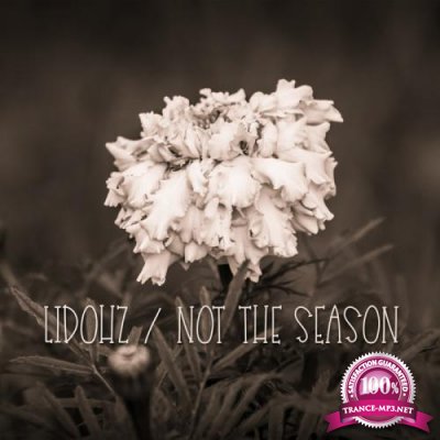 LidoHZ - Not The Reason (2019)