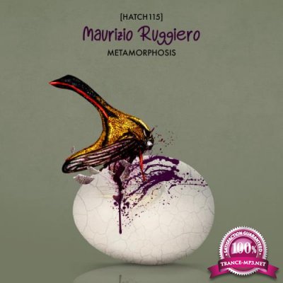 Maurizio Ruggiero - Metamorphosis (2019)