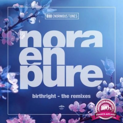 Nora En Pure - Birthright (The Remixes) (2019)