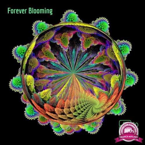 Advanced Suite - Forever Blooming (2019)