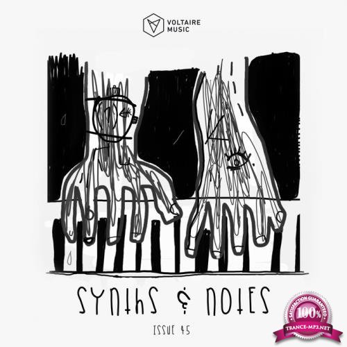 Synths and Notes 45 (2019)