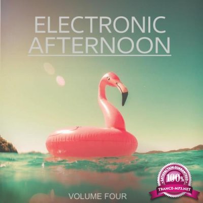 Electronic Afternoon Vol 4 (2019)