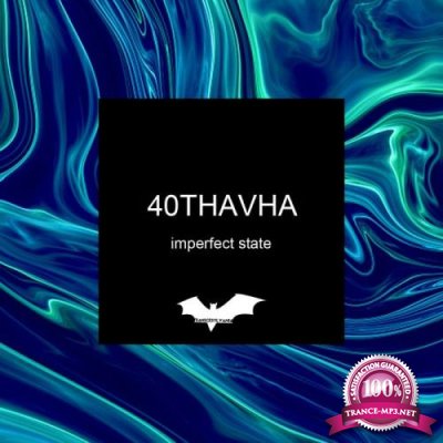 40Thavha - Imperfect State (2019)