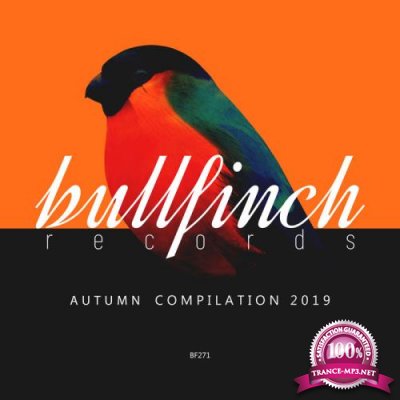 Bullfinch Autumn 2019 Compilation (2019)