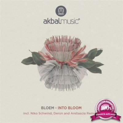 Bloem - Into Bloom (2019)