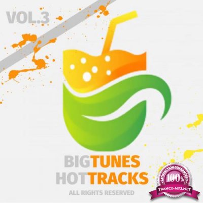 Big Tunes Hot Tracks, Vol. 3 (2019)