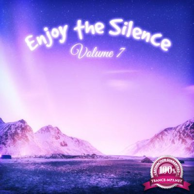 Enjoy the Silence, Vol. 7 (2019)