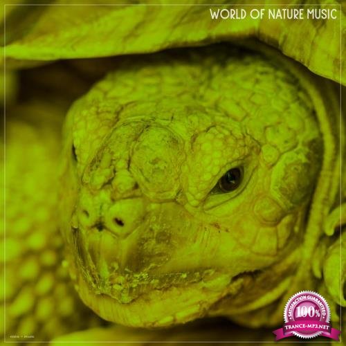 World Of Nature Music (2019)