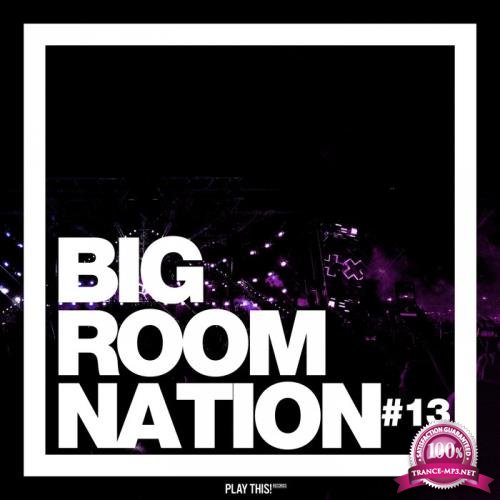 Big Room Nation, Vol. 13  (2019)