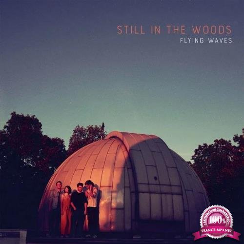 Still in the Woods - Flying Waves (2019)