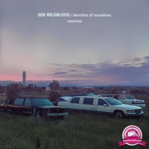 Seb Wildblood - Sketches Of Transition (Remixes) (2019)