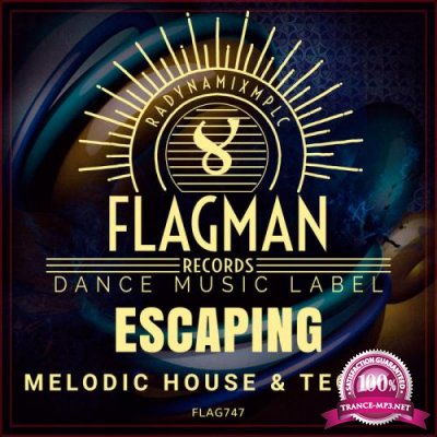 Escaping Melodic House & Techno (2019)