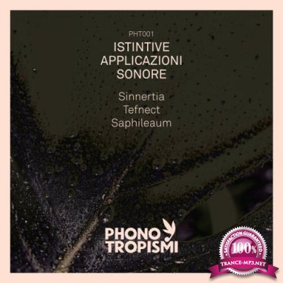 Sinnertia/Saphileaum And Tefn - Istintive Applicazioni Sonore (2019)