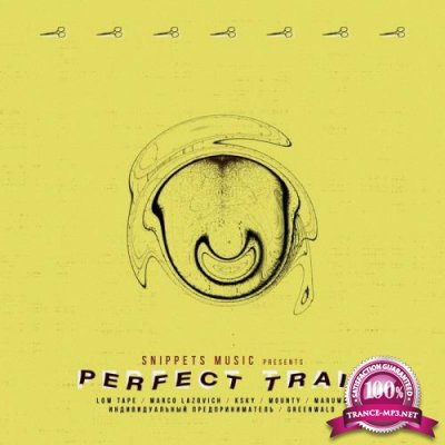 Snippets Music - Perfect Trail (2019)