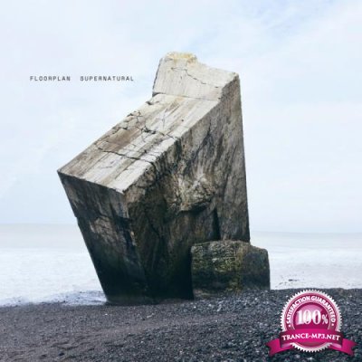 Floorplan - Supernatural (2019)