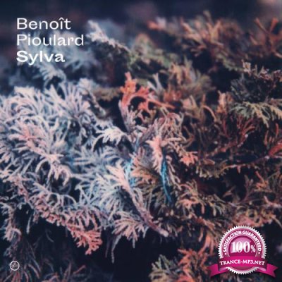 Benoit Pioulard - Sylva (2019)