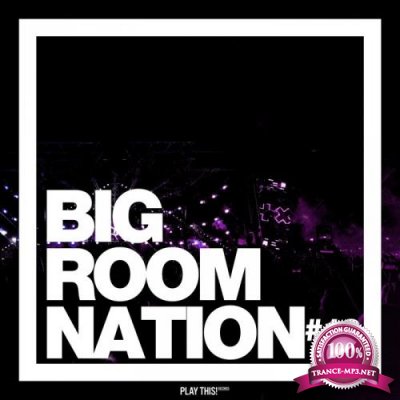 Big Room Nation, Vol. 13  (2019)