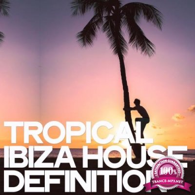 Tropical Ibiza House Definition (2019)