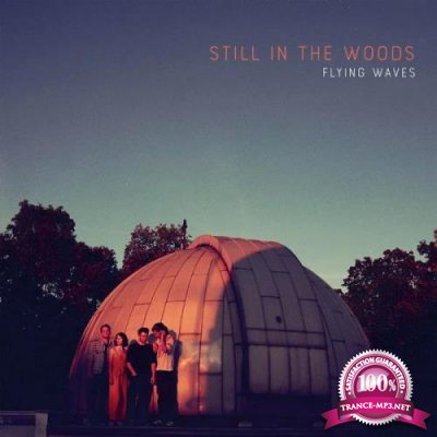 Still in the Woods - Flying Waves (2019)