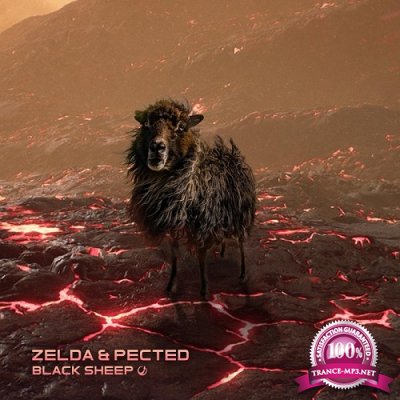 Zelda & Pected - Black Sheep (Single) (2019)