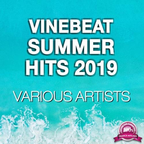 VineBeat Summer Hits 2019 (2019)