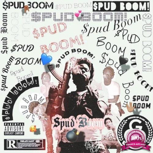 $pud Boom - The Best of Boom (2019)