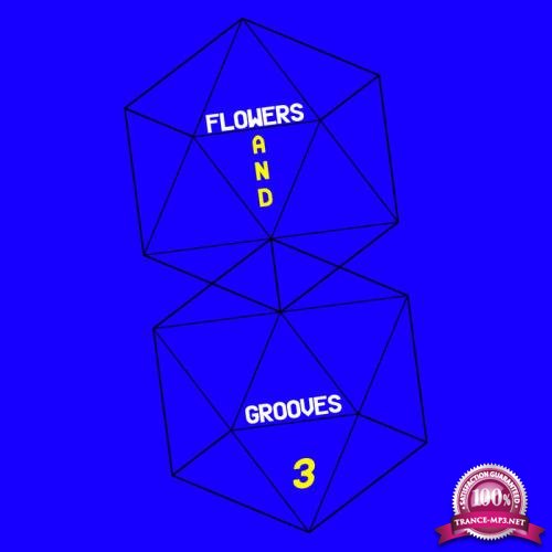 Flowers and Grooves 3 (2019)