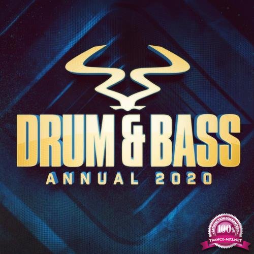 RAM Records Ltd. - RAM Drum & Bass Annual 2020 (2019)