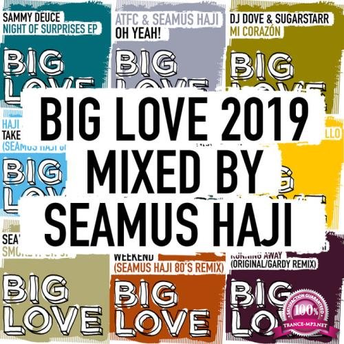 Big Love 2019 Mixed By Seamus Haji (2019)