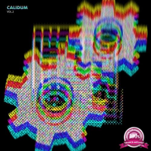 Calidum Vol 2 (2019)