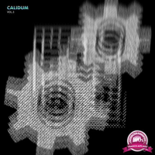 Calidum Vol 3 (2019)