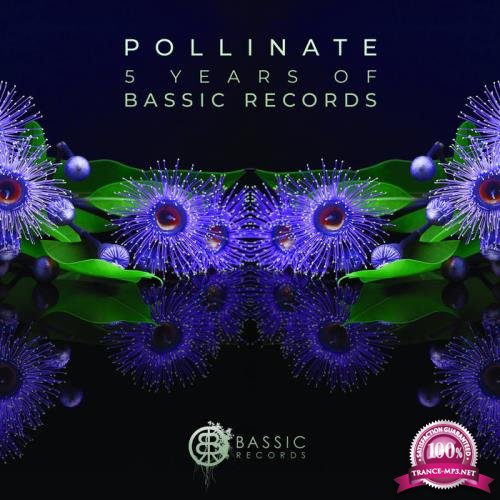 Pollinate (5 Years of Bassic Records) (2019)