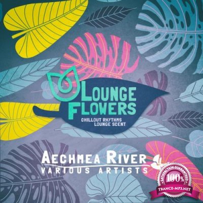 Lounge Flowers - Aechmea River (2019)