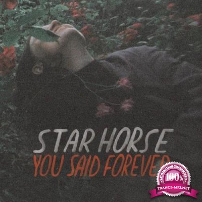Star Horse - You Said Forever (Deluxe Version) (2019)