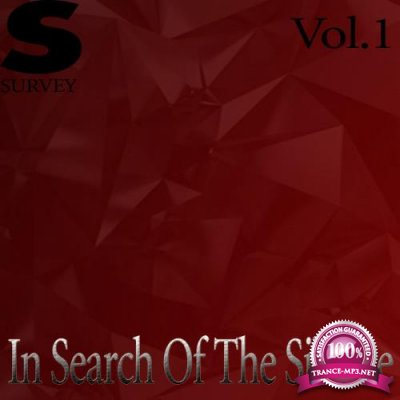 In Search Of The Silence, Vol. 1 (2019)
