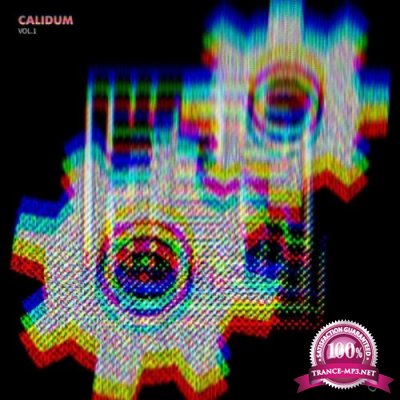 Calidum Vol 1 (2019)