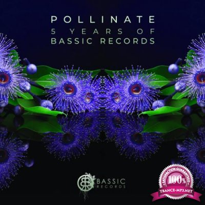 Pollinate (5 Years of Bassic Records) (2019)