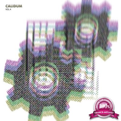 Calidum ,vol. 4 (2019)