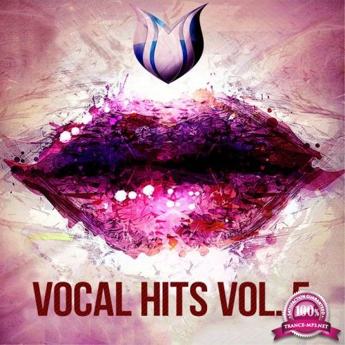 Vocal Hits, Vol 5 (2020)