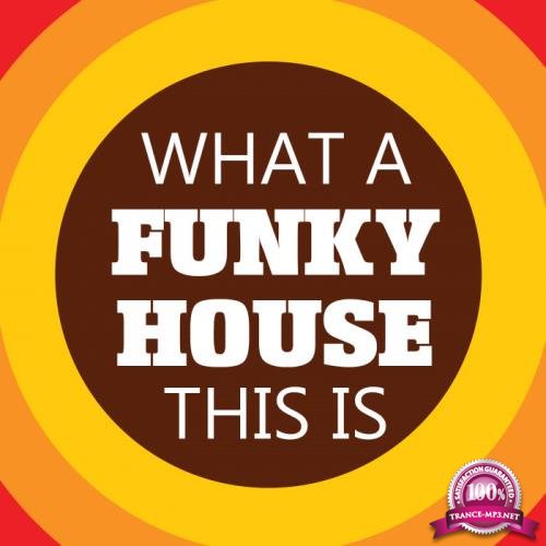 DJ Luciano - What A Funky House This is (2020)
