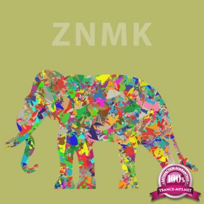 ZNMK - Demand Tech (2020)