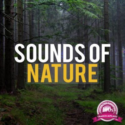 Sounds Of Nature - Sounds Of Nature (2020)