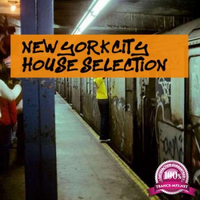 New York City House Selection (2020)