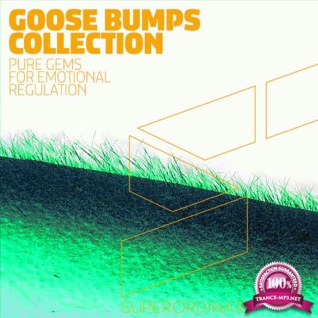 Superordinate Music - Goose Bumps Collection (2020)