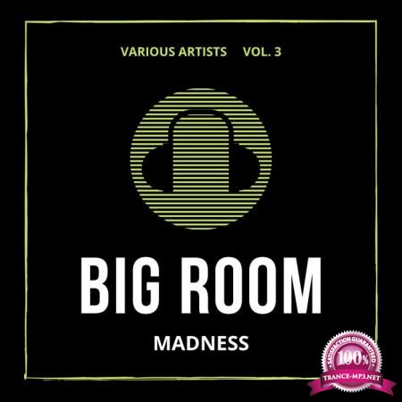 Big Room Madness, Vol. 3 (2020)