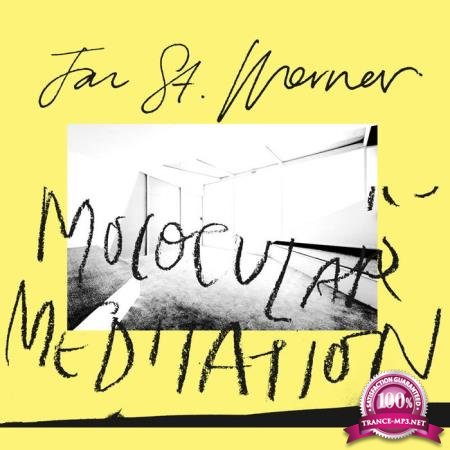 Jan St. Werner feat Mark E. Smith - Molocular Meditation (2020)