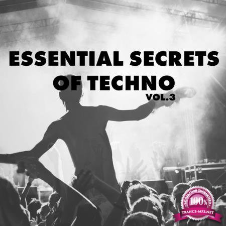 Essential Secrets of Techno, Vol. 3 (2020)