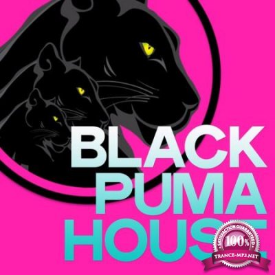 Black Puma House (2020)